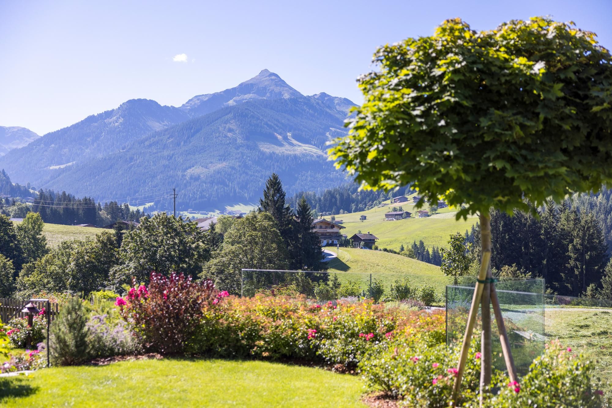 Eine malerische Landschaft mit grünen Wiesen und Bergen im Hintergrund. Bunte Blumen und ein kleiner Baum im Vordergrund ergänzen die Szenerie.