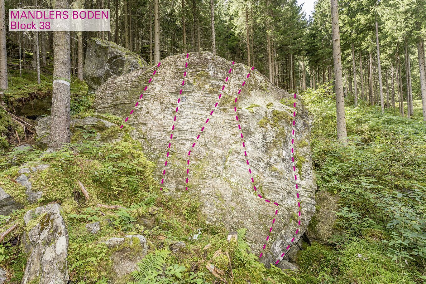 Topographie