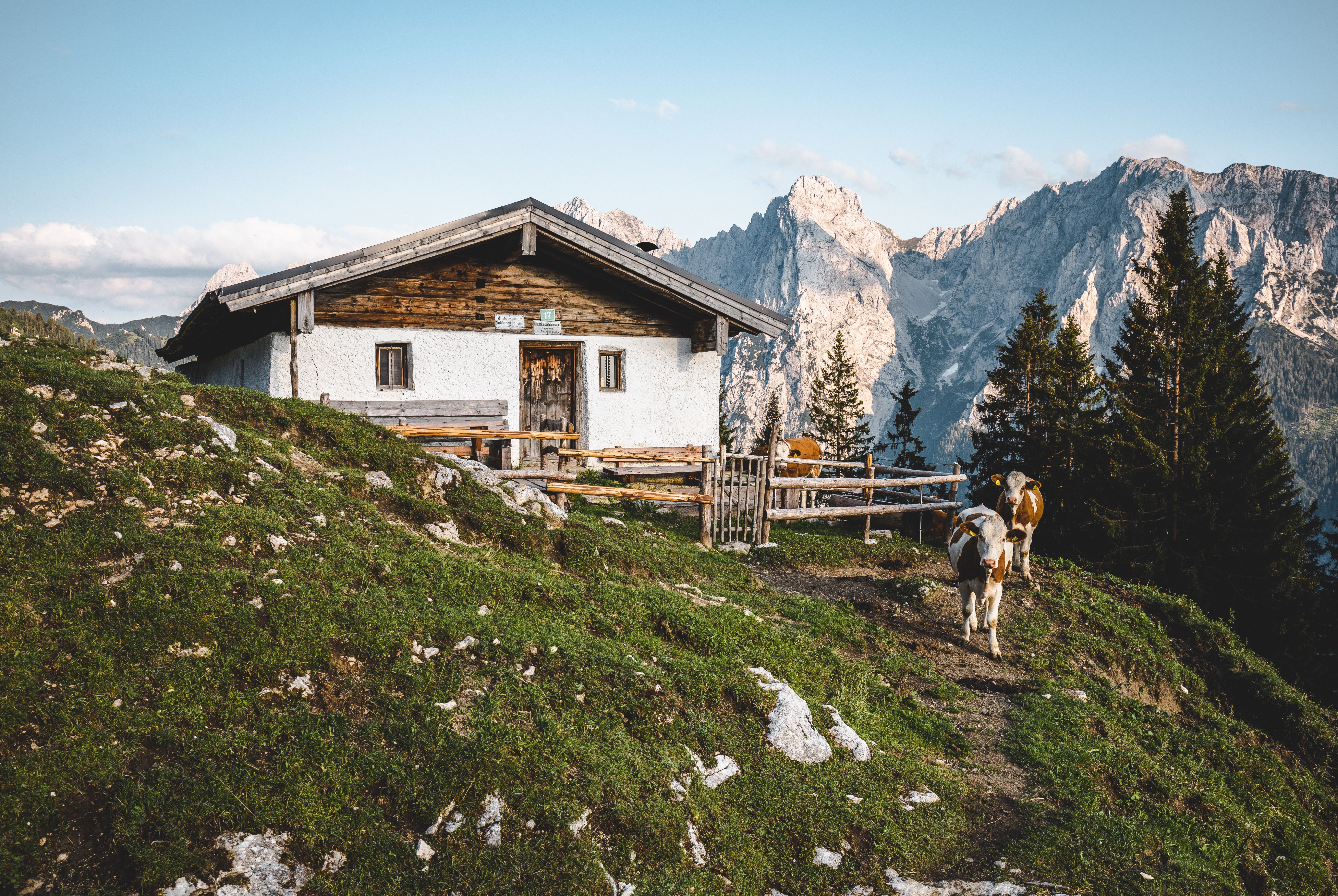 Naturerlebnis Kaisergebirge 