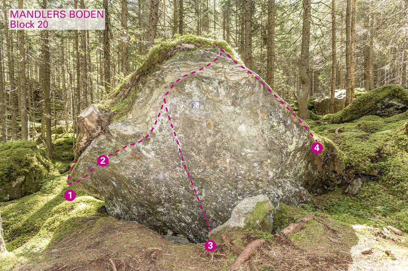 Topographie