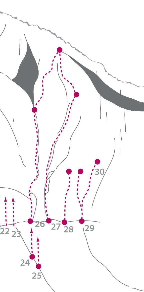 Topographie