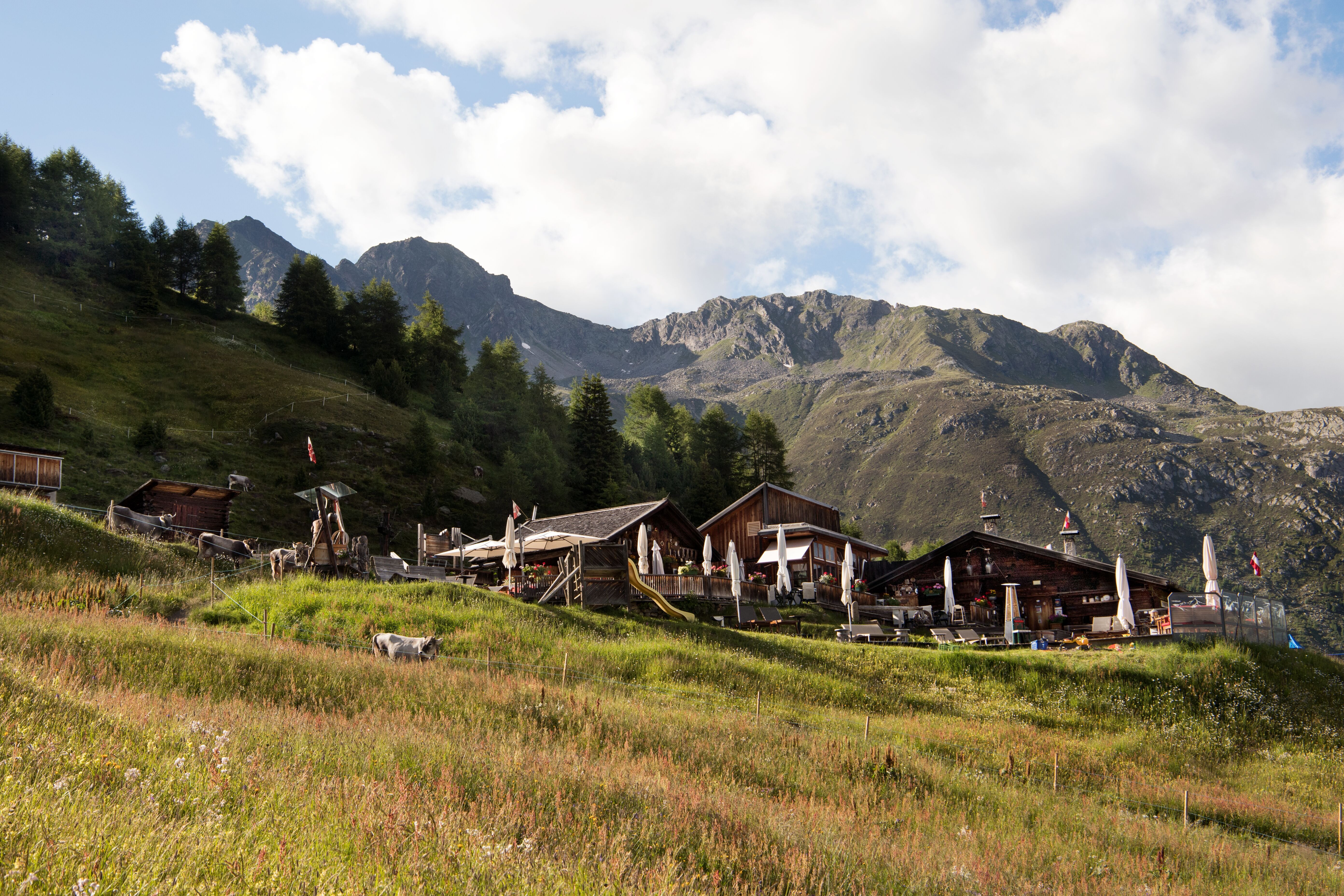 Gampe Thaya Sölden