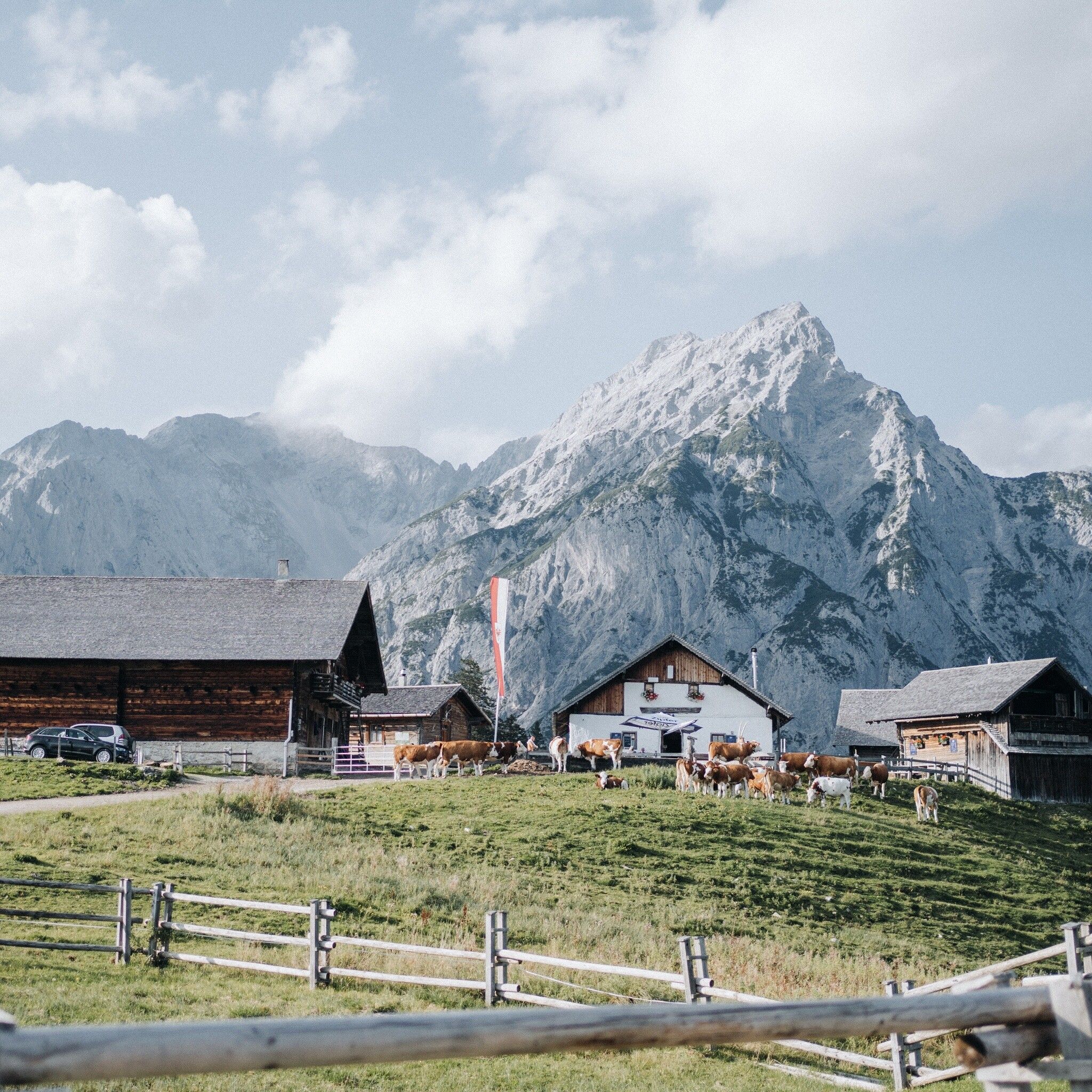 Walder Alm im Karwendel, Almhütten vor schroffen Berggipfeln