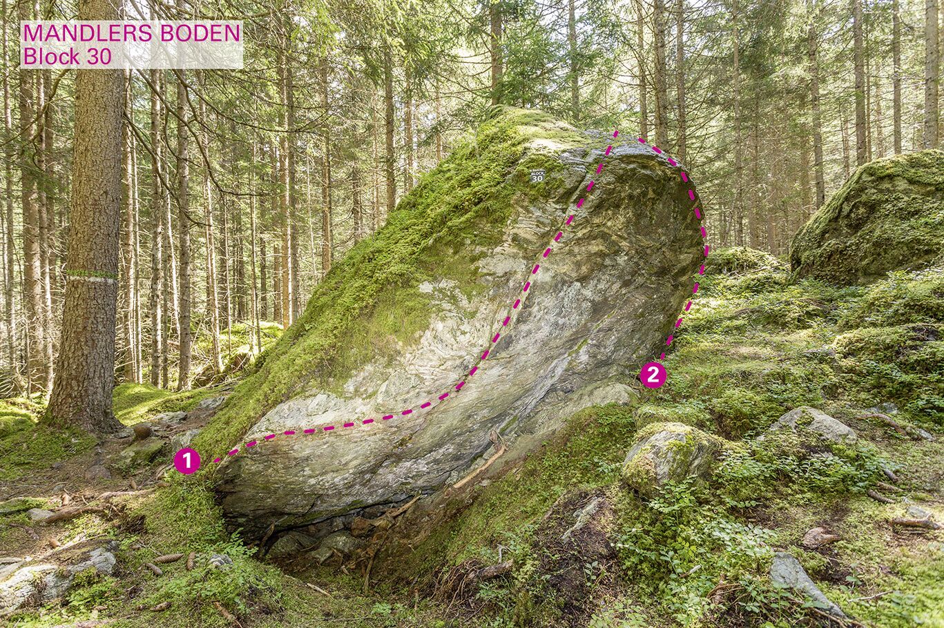 Topographie