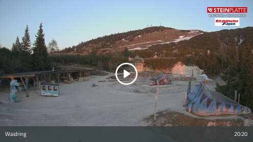 Webcam Triassic Park