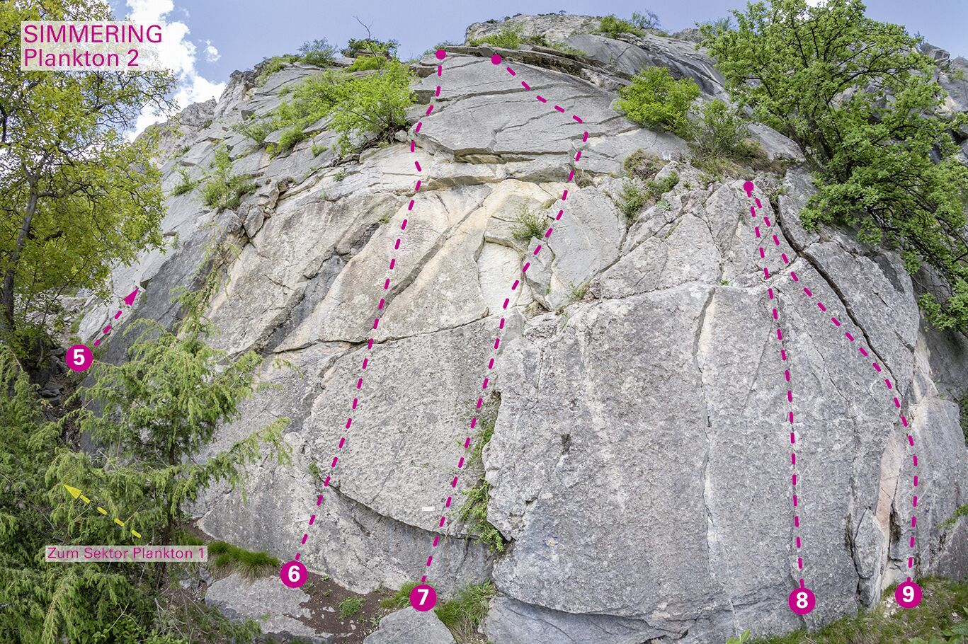 Topographie
