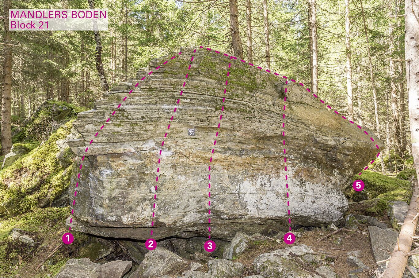 Topographie