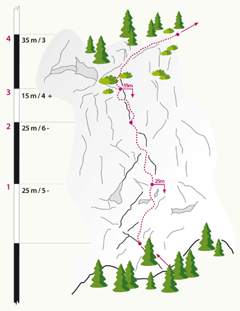Topographie