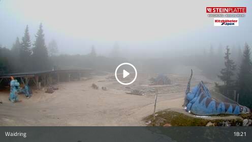 Webcam Triassic Park
