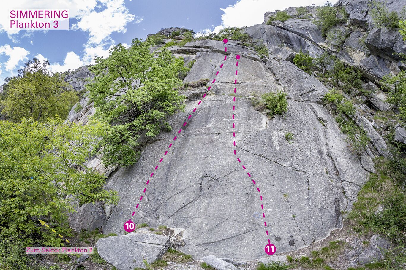 Topographie