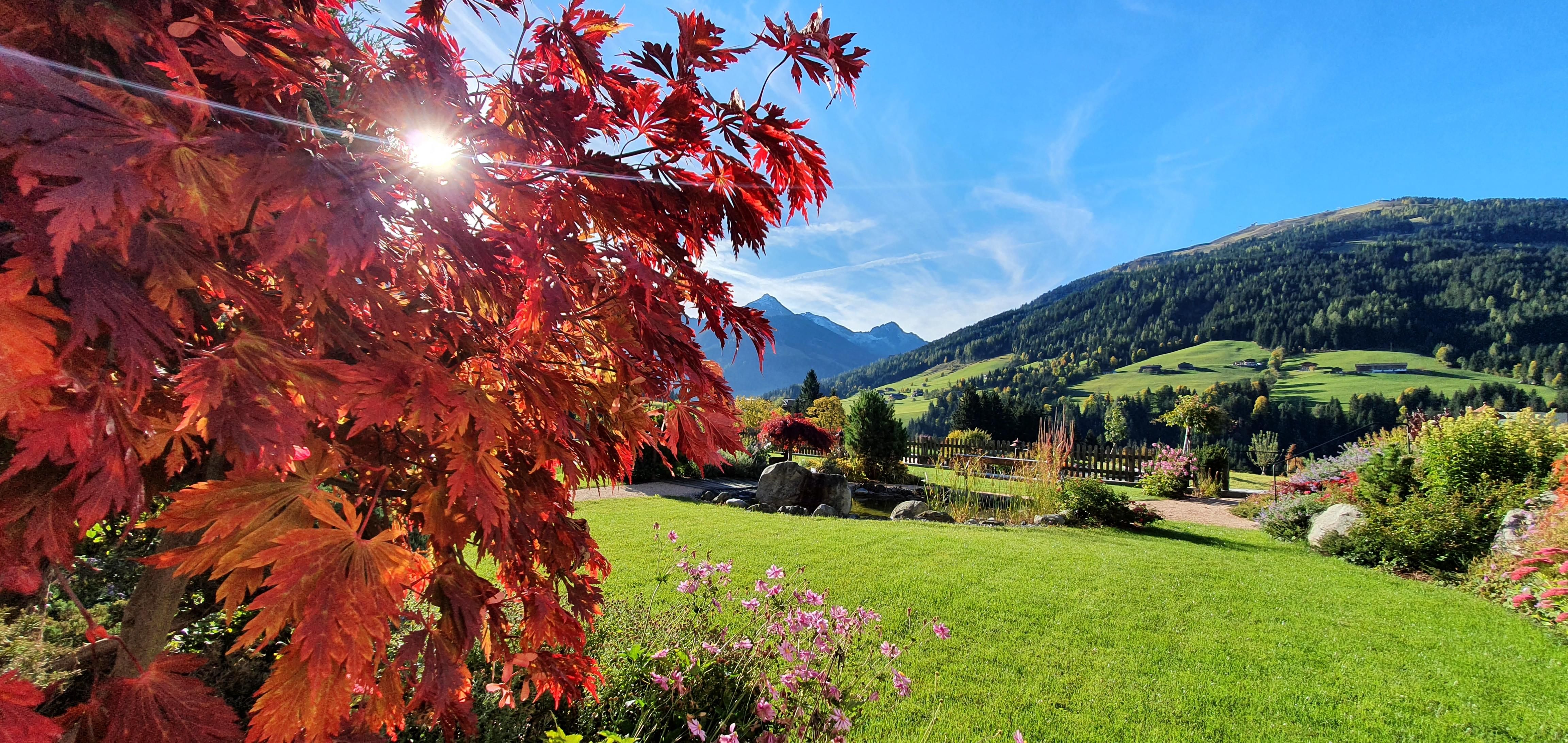 Eine malerische Landschaft mit bunten Herbstblättern und sanften Hügeln im Hintergrund. Der klare Himmel und die Sonne strahlen, während Blumen im Vordergrund blühen.