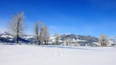 Winterlandschaft allgemein_Kitzbüheler Alpen_Steph