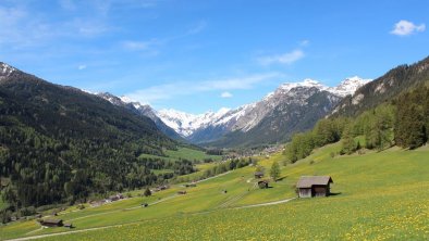 Bruendlhof_Trins_Ferienwohnung_Sommer_Wipptal