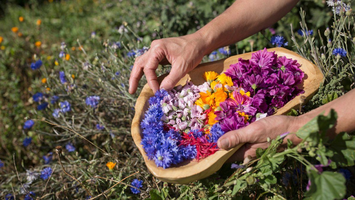 Kräuter und Blüten werden zu Tees, Salben, Likören, Tinkturen und Seifen verarbeitet., © Tirol Werbung/Lisa Hörterer