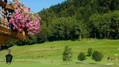 Blick auf den Golfplatz