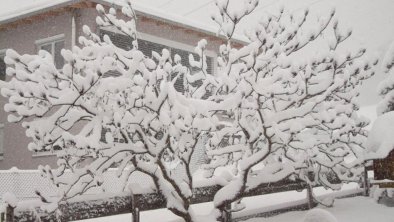 Garten im Winter