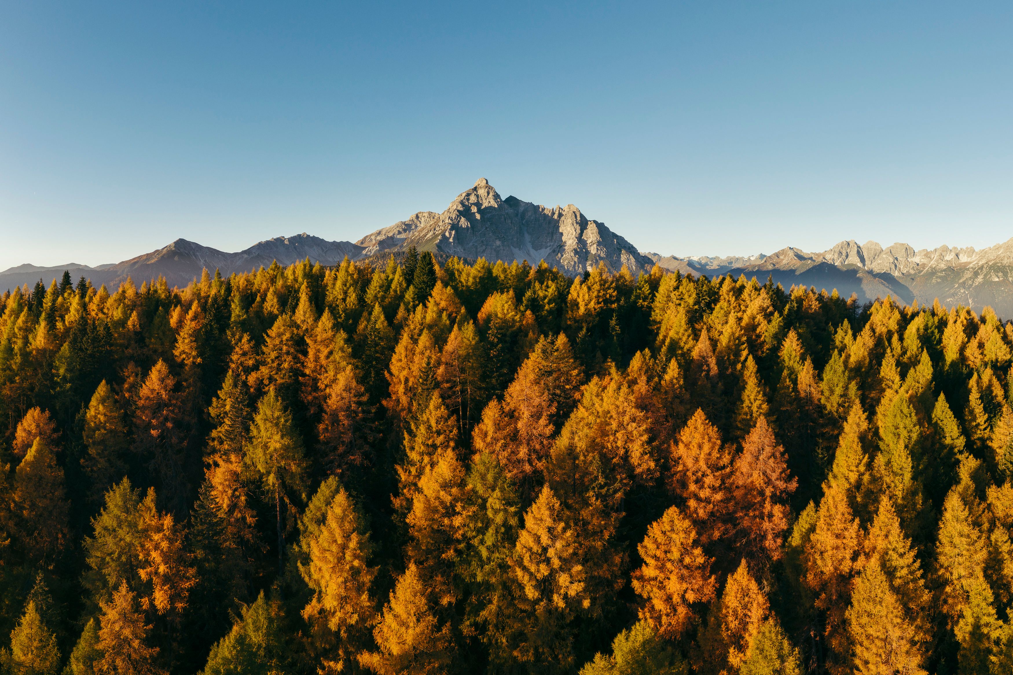 Eulenwiesen mit Serles im Herbst