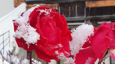 erster Schnee im Schmiedhof