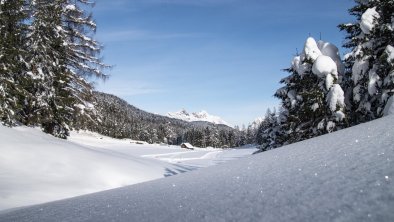 Blick auf B1 Loipe, © Region Seefeld