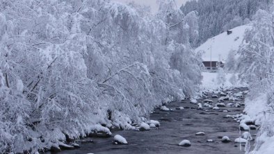 Winter am Haus 1