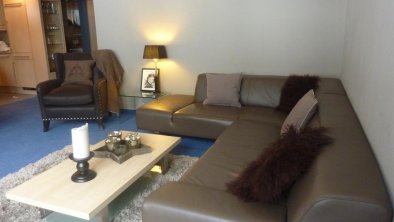 Living room area with sofa bed