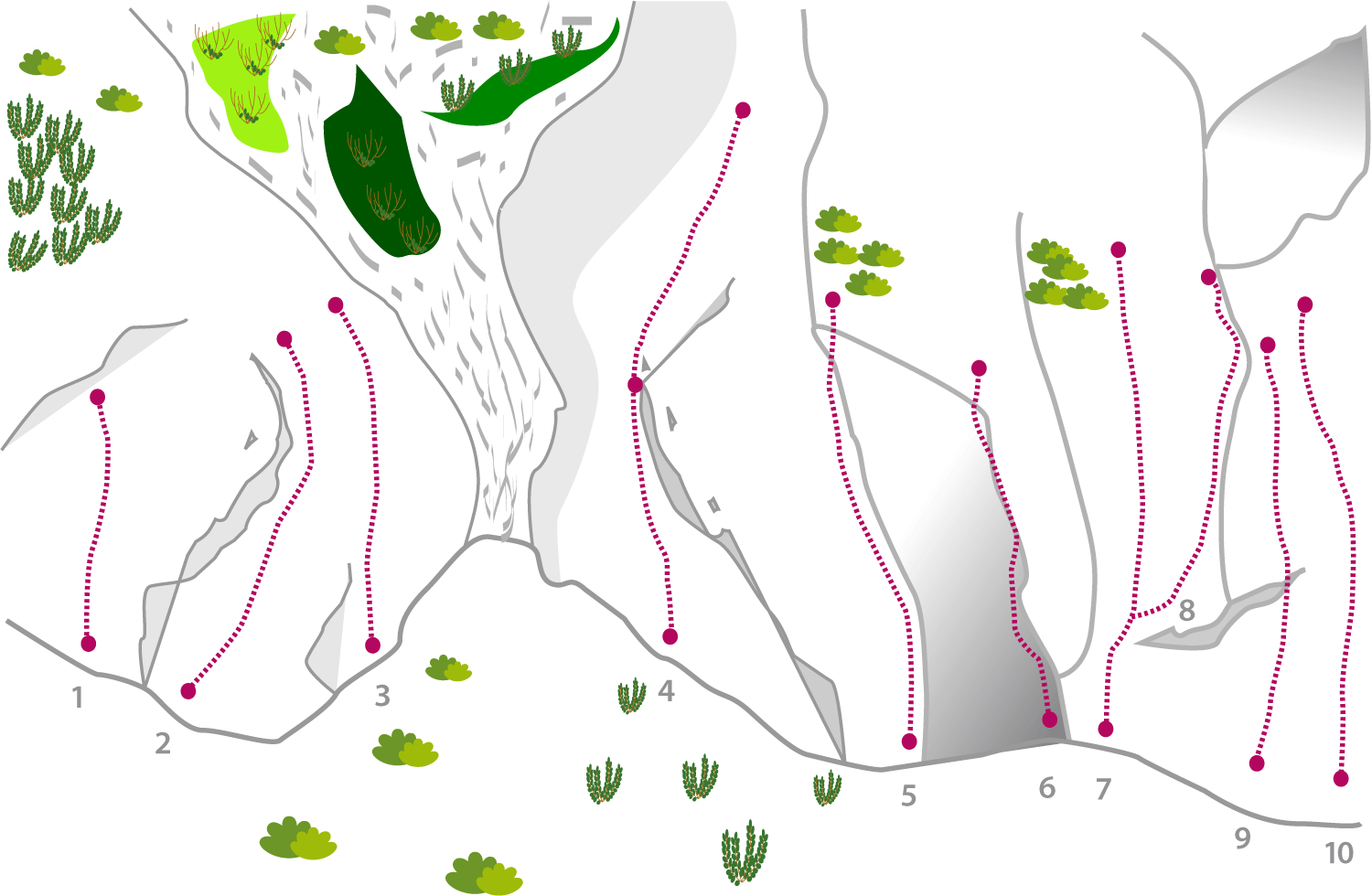 Topographie