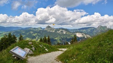 Neunerköpfle-Erlebnisweg , © TVB Tannheimer Tal / Achim Meurer