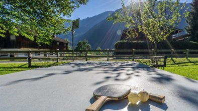 Land-und Ferienhaus Gredler Tischtennis 2