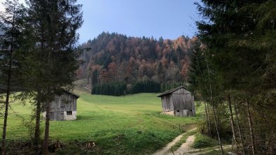 Walchsee wandern 4, © Bhamroyal