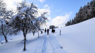 Winterwonderland, © Ellmau TA