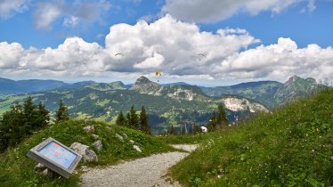 Am Neunerköpfle-Erlebnisweg, © TVB Tannheimer Tal / Achim Meurer