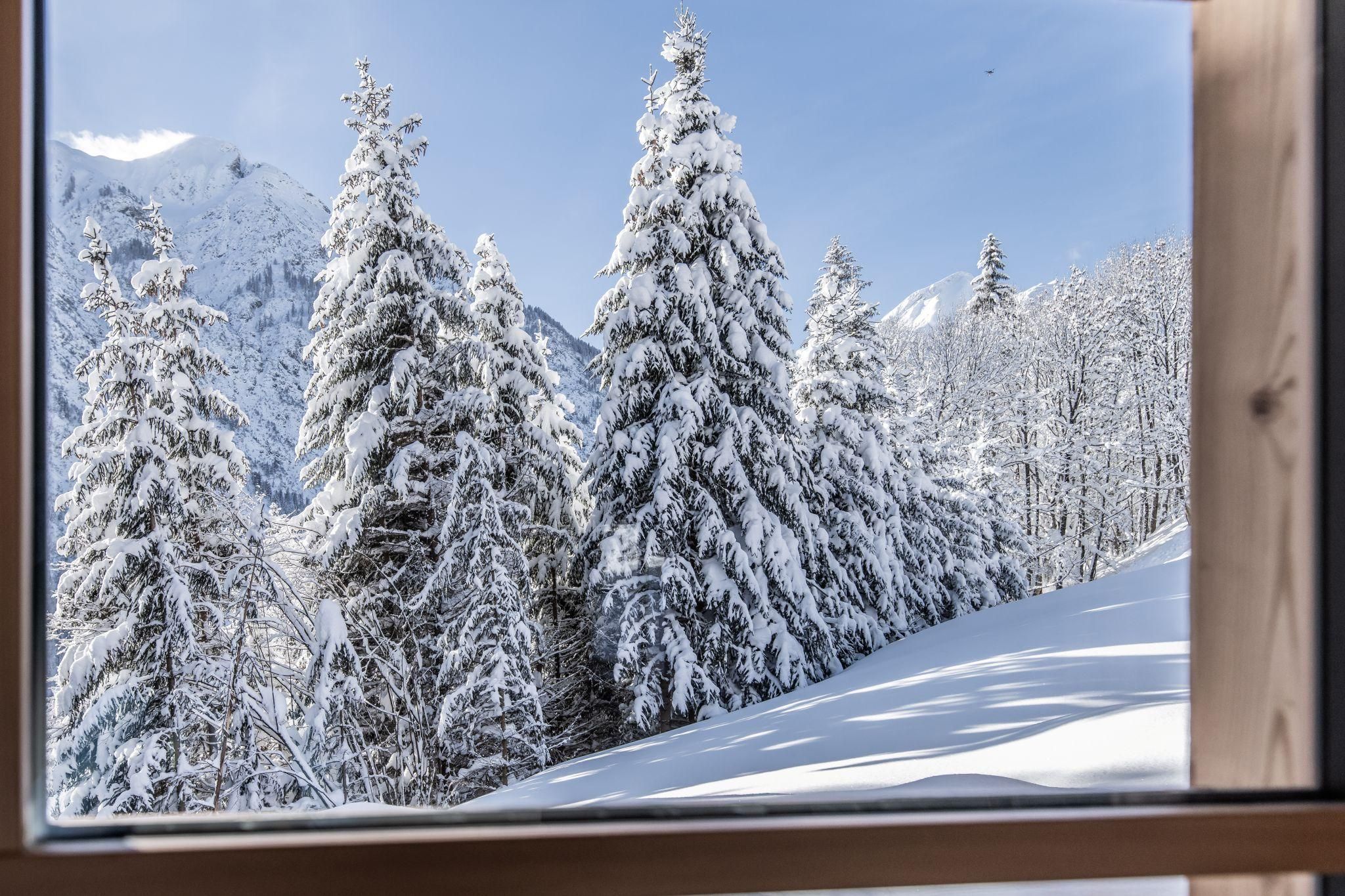 Eine verschneite Winterlandschaft mit hohen, schneebedeckten Tannenbäumen und Bergen im Hintergrund. Der Himmel ist klar und blau.