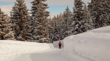 Rodeln in Tirol, © Tirol Werbung/Markus Jenewein