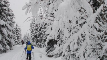 Schneeschuhwandern bei Hochfilzen im Pillerseetal. (Foto: Tirol Werbung)