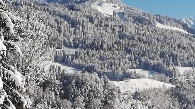 Buchensteinwand im Winter