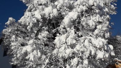 Winter in Sillian, © Winter in Sillian
