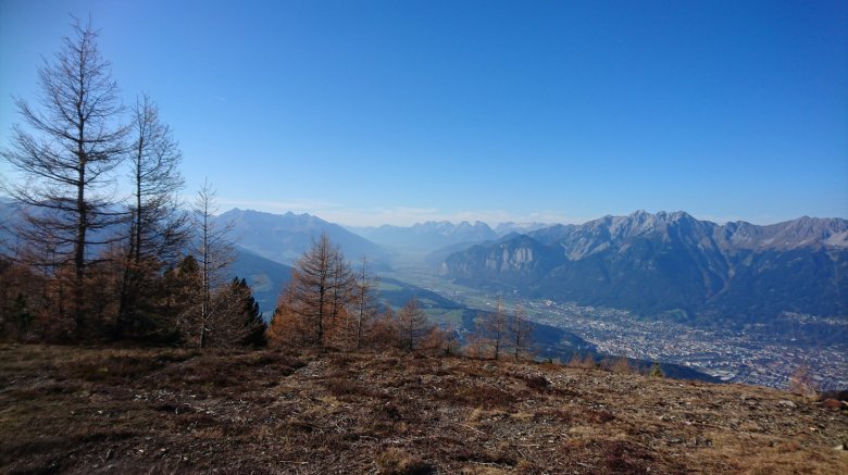 Auf dem Zirbenweg