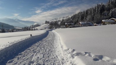 Winterwanderweg vor der Haustür