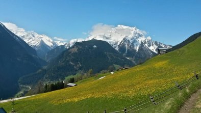 Zimmerausblick Grünberg