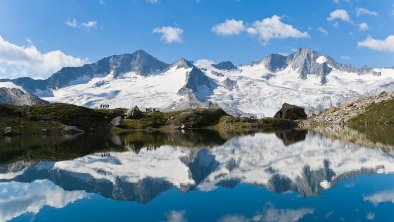 Hochgebirgs-Naturpark Zillertaler Alpen © Norbert