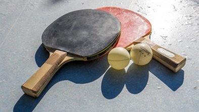 Land-und Ferienhaus Gredler Tischtennis