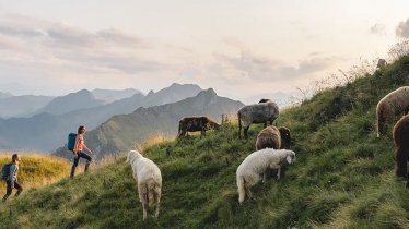 Die 7. IVV-Wandereuropiade kommt 2024 nach Waidring in Tirol, © Kitzbüheler Alpen - Pillerseetal