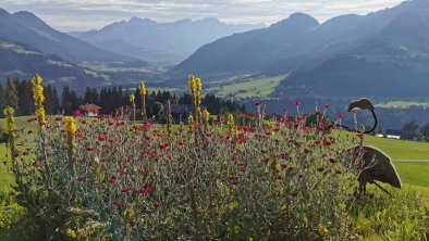 Blick von Geelinks Hütte bis zum Wilden Kaiser