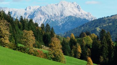 Aussicht vom Elsbichlhof, © Josef Resch