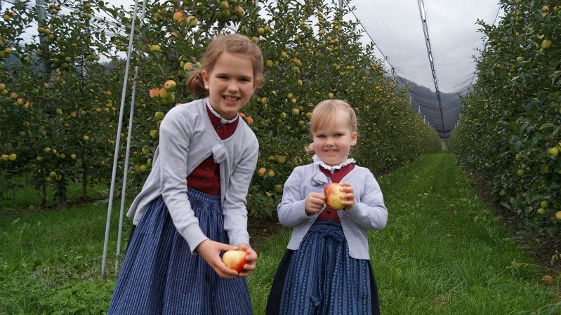 Mit dem großen Fest wird in Dölsach die Apfelernte gefeiert
