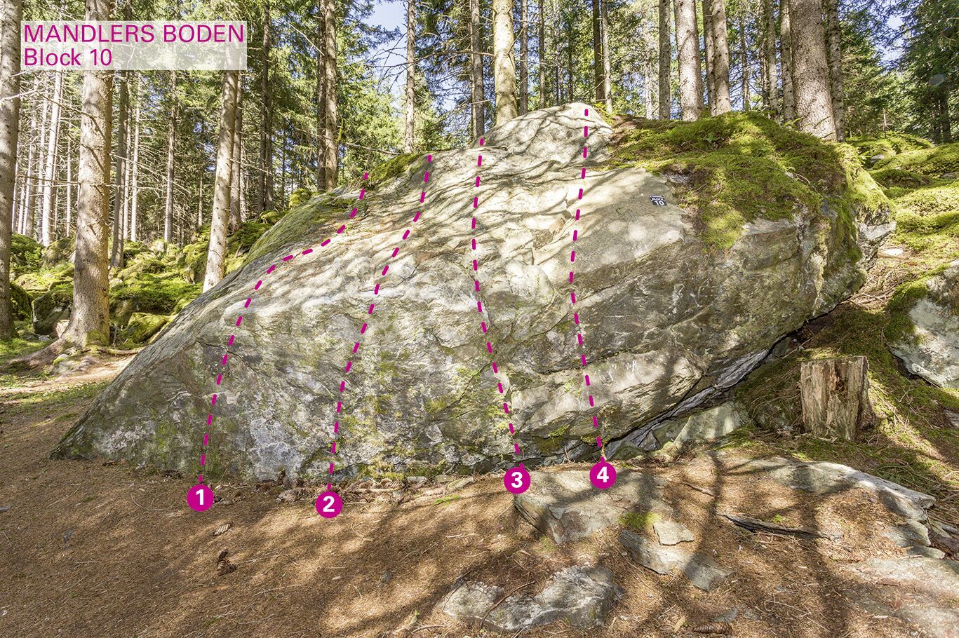 Topographie