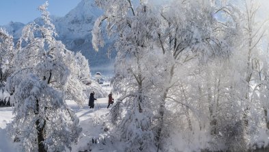 Ehrwalder Moos im Winter