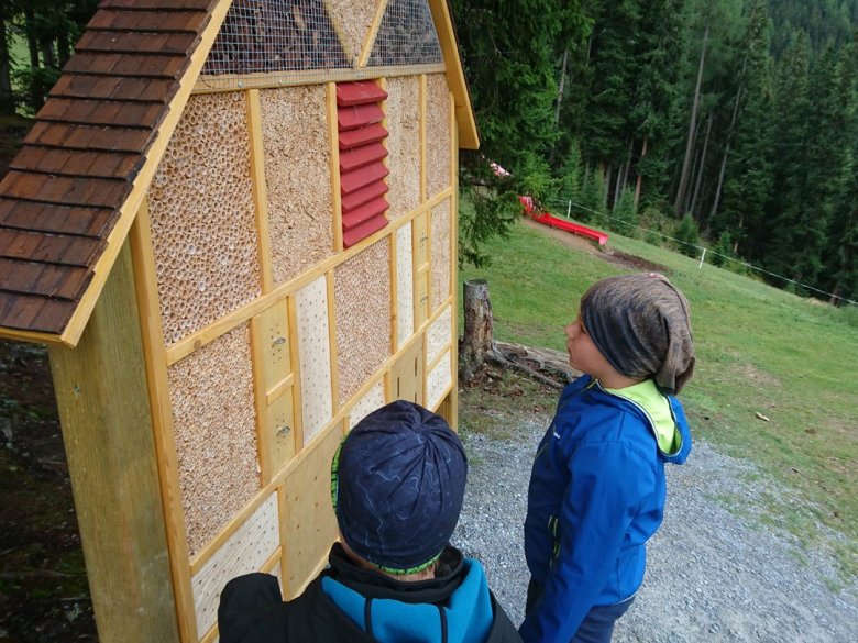 insektenhotel-walk-of-science-sommerberg-fendels-(c)-tirol-werbung—julia-koenig