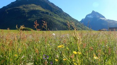 Gorfen und Ballunspitze, © Isabell Kathrein