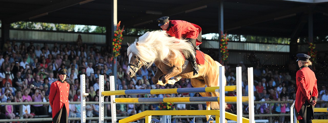 Der Fohlenhof Ebbs wird 2020 wieder zum Weltzentrum der Haflinger-Szene, © Fohlenhof Ebbs